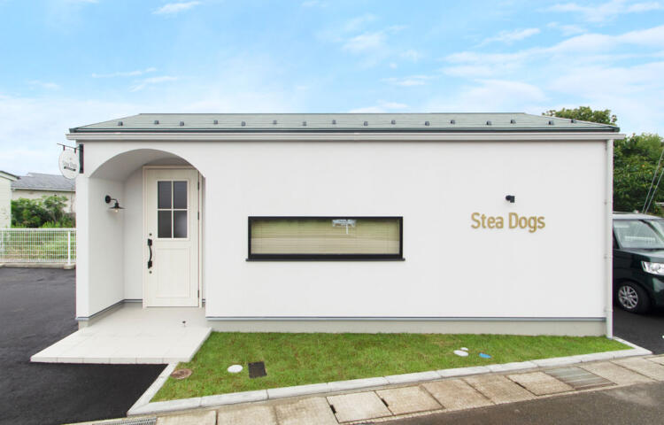【SHOEIの家】ペットサロン「Stea Dogs」